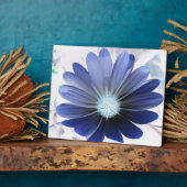 Photo Plaque bleue céleste (Côté)