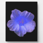 Photo Plaque bleue de fleurs de Nasturtium (Devant)