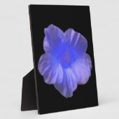 Photo Plaque bleue de fleurs de Nasturtium (Côté)
