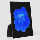 Photo Plaque bleue de Nasturtium (Côté)