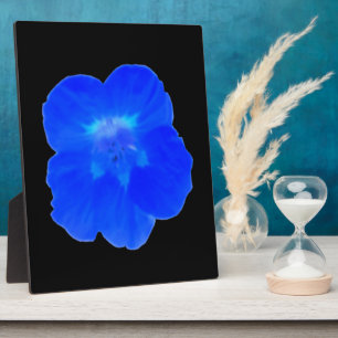 Photo Plaque bleue de Nasturtium