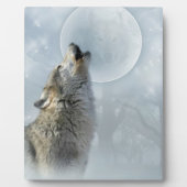 Photo Plaque bleue de Wolf 8X10 (Devant)