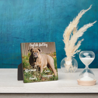 Photo Plaque Bouledogue Anglais avec Chevalet
