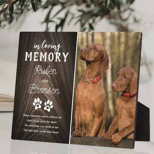 Photo Plaque commémorative commune pour animaux de compa