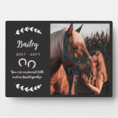 Photo Plaque commémorative de cheval avec des fers à che (Devant)