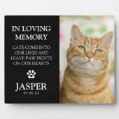 Photo Plaque commémorative moderne pour animaux de compa (Devant)