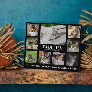 Photo Plaque commémorative moderne pour chat en collage