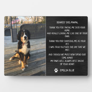 Photo Plaque commémorative pour animal de compagnie en s