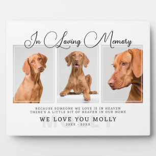 Photo Plaque commémorative pour perte d'animal de compag