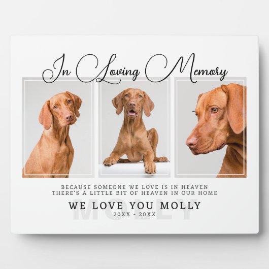 Photo Plaque commémorative pour perte d'animal de compag (Devant)