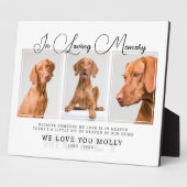 Photo Plaque commémorative pour perte d'animal de compag (Côté)