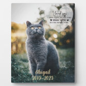 Photo Plaque commémorative pour perte de chat, condoléan (Devant)