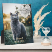 Photo Plaque commémorative pour perte de chat, condoléan (Côté)