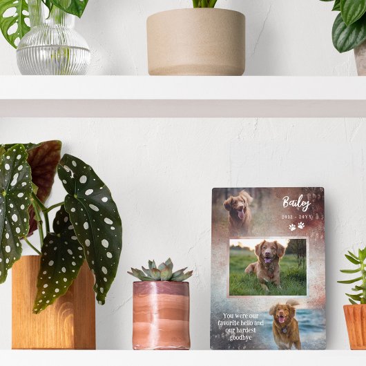 Photo Plaque commémorative Rust & Navy Paws Hello Chien 