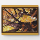 Photo Plaque d'affichage Trunks d'arbre (Devant)