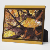 Photo Plaque d'affichage Trunks d'arbre (Côté)