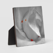 Photo Plaque d'aquarelle de l'Éolienne (Recto)