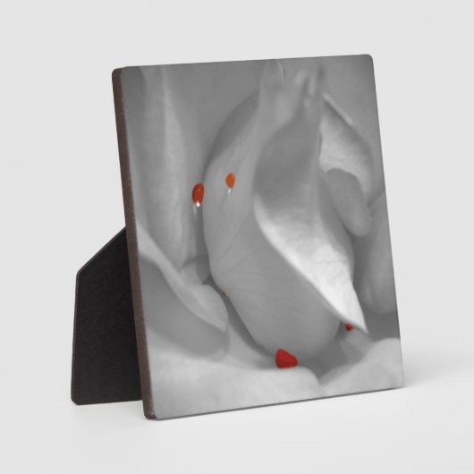 Photo Plaque d'aquarelle de l'Éolienne (Recto)