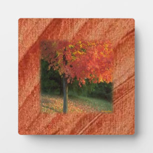 Photo Plaque d'automne