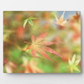 Photo Plaque d'automne Filigree (Devant)