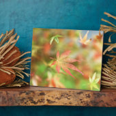 Photo Plaque d'automne Filigree (Côté)