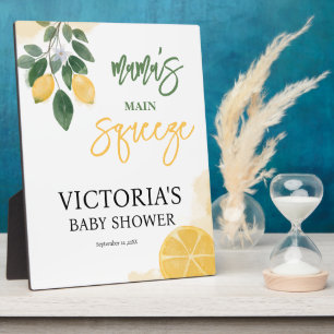 Photo Plaque de Baby shower principale de Squeeze de Lem