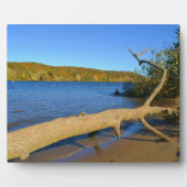 Photo Plaque de bois franc (Devant)