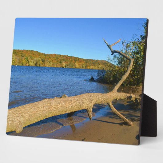 Photo Plaque de bois franc (Côté)