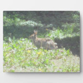Photo Plaque de Bunny sauvage (Devant)