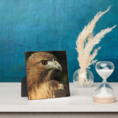 Photo Plaque de bureau Red Tail Hawk (Insitu)