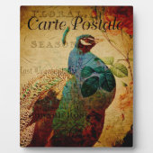 Photo Plaque de carte postale (Devant)