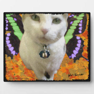 Photo Plaque de chats de fée