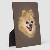 Photo Plaque de Chien de Poméranie (Côté)