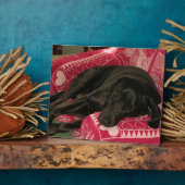 Photo Plaque de chien endormi (Côté)