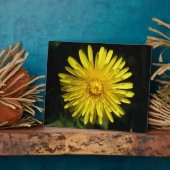 Photo Plaque de Dandelion (Côté)
