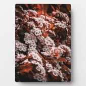 Photo Plaque de fleur de table (Devant)