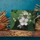 Photo Plaque de fleurs de Blackberry (Côté)