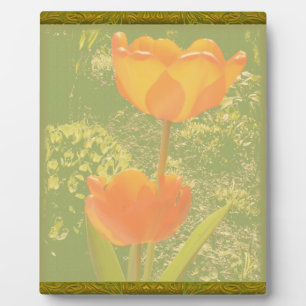 Photo Plaque de fleurs orange