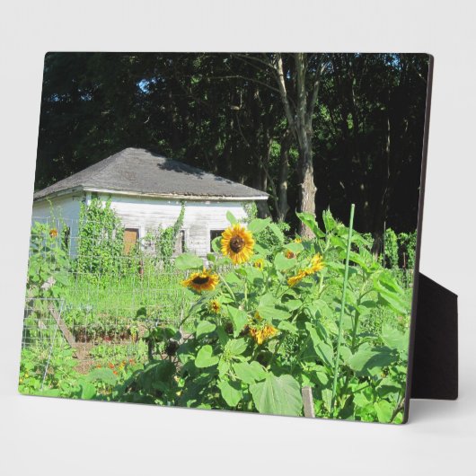 Photo Plaque de jardinage (Côté)