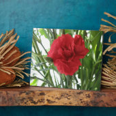 Photo Plaque de la nation rouge (Côté)
