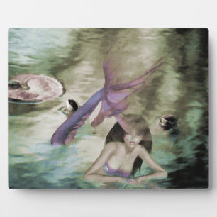 Photo Plaque de la petite sirène