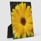 Photo Plaque de macro marigold jaune (Côté)