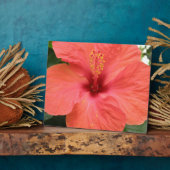 Photo Plaque de macro orange Hibiscus Fleur (Côté)
