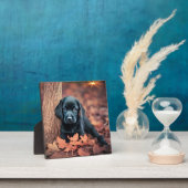 Photo Plaque de marionnettes Black Lab (Insitu)