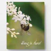 Photo Plaque de motivation "Hang in There" (Devant)