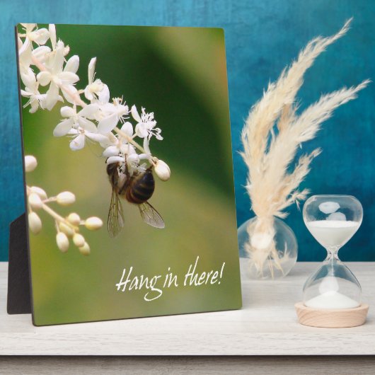 Photo Plaque de motivation "Hang in There" (Côté)