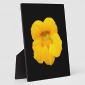 Photo Plaque de Nasturtium Jaune (Côté)