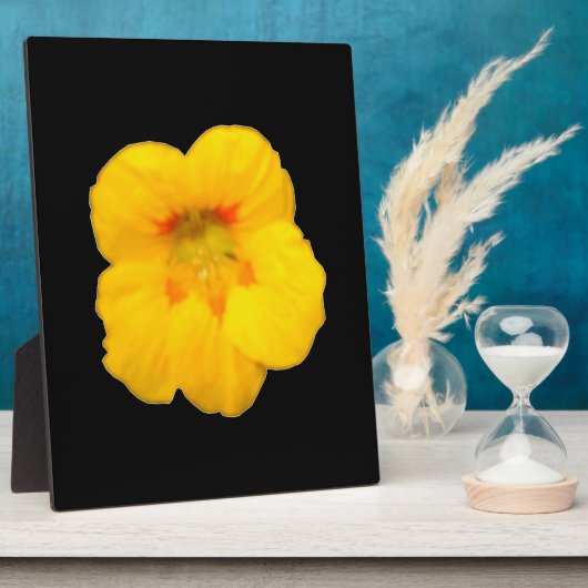 Photo Plaque de Nasturtium Jaune (Côté)