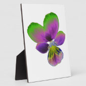 Photo Plaque de Pansy violet et vert (Côté)