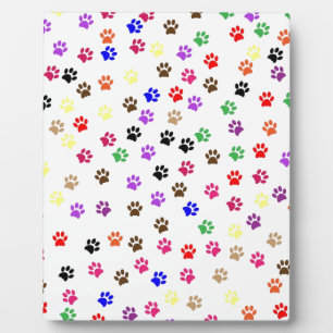 Photo Plaque de pattes